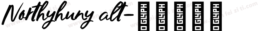 Northyhuny alt字体转换